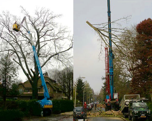 boomwerkbilthoven-bomen-hoogwerker-500x450