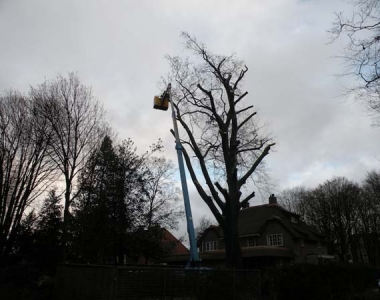Kap beuk Amersfoort