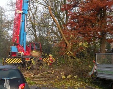 Boom verwijderen met telekraan in Zeist